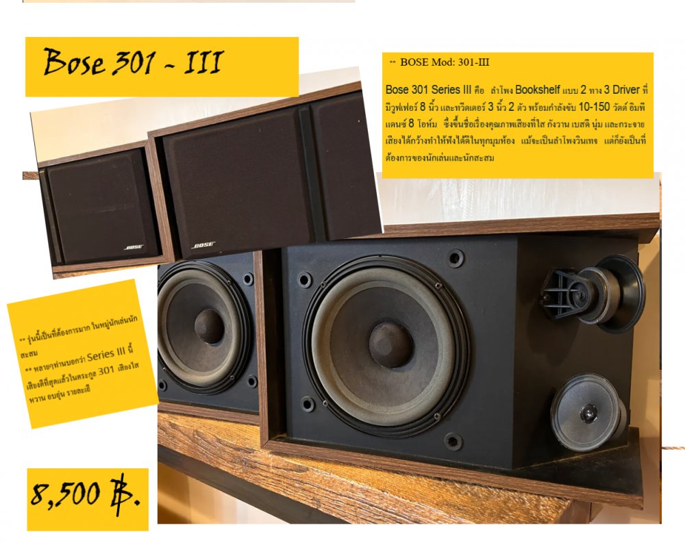 ขานลำโพง ฺBOSE:301-III