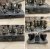 ขายอินติเกรตแอมป์หลอดไฮเอนด์ CARY Audio SLI-80 Signature SE สภาพงาม