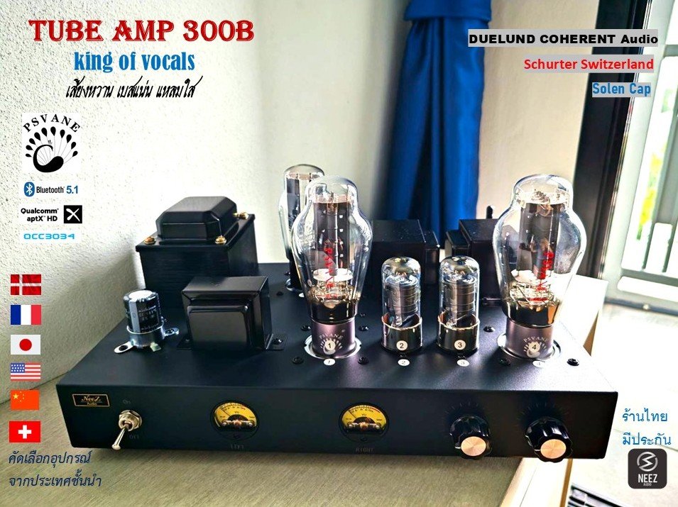 แอมป์หลอด Tube Amp 300B - Pure Class A -